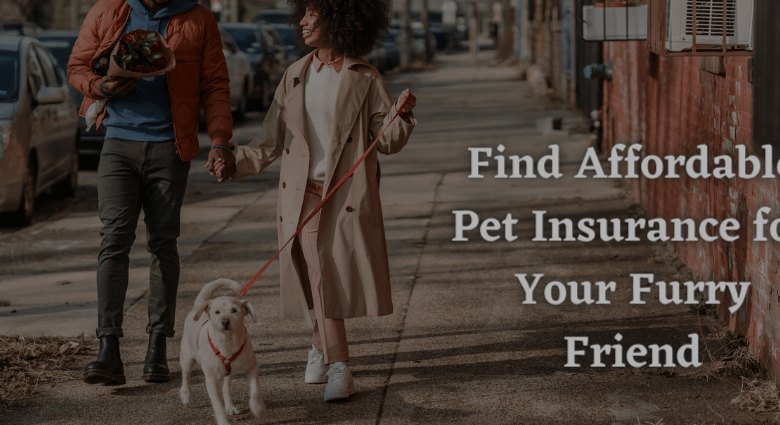 Find Affordable Pet Insurance for Your Furry Friend