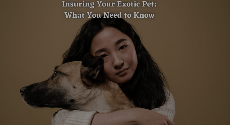 Insuring Your Exotic Pet: What You Need to Know