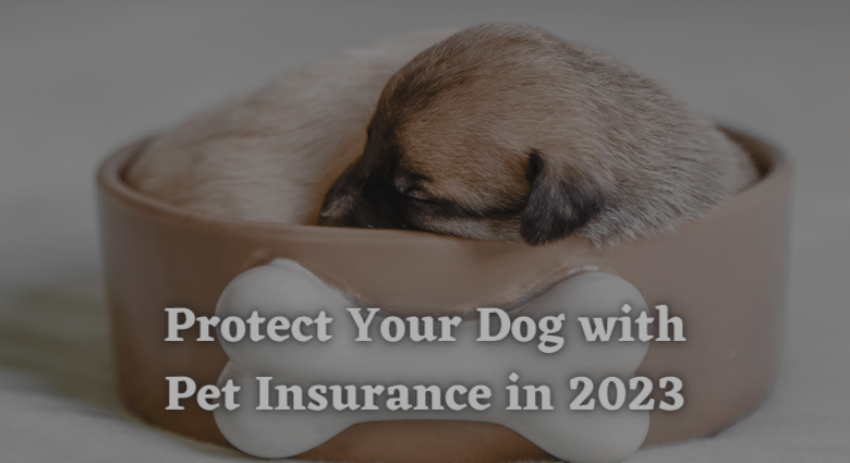 Protect Your Dog with Pet Insurance in 2023