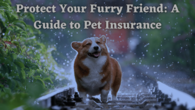 Protect Your Furry Friend: A Guide to Pet Insurance