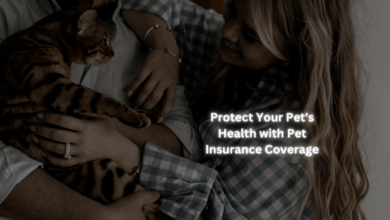 Protect Your Pet's Health with Pet Insurance Coverage